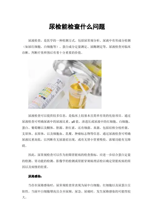 尿检能检查什么问题