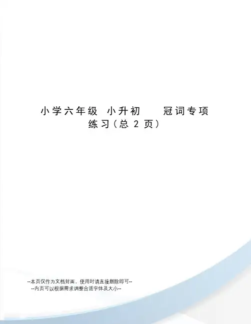 小学六年级小升初冠词专项练习