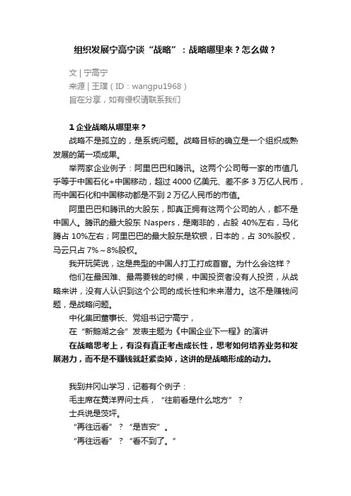 组织发展宁高宁谈“战略”：战略哪里来？怎么做？