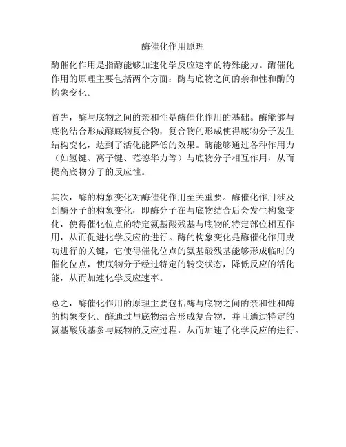 酶催化作用原理