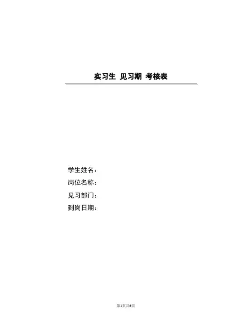 实习生见习期跟踪考核表