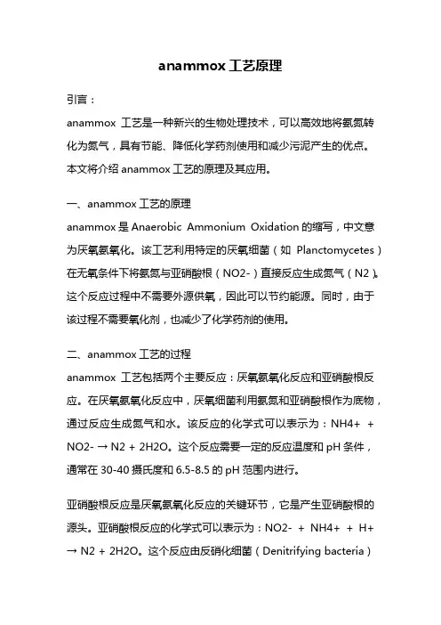 anammox工艺原理