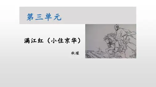 部编版九年级语文下册 满江红 词四首公开课教学课件
