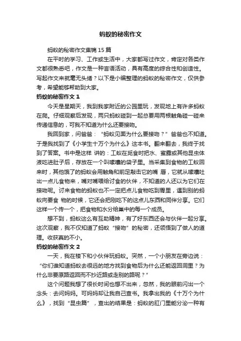 蚂蚁的秘密作文
