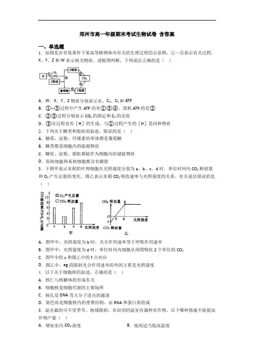 郑州市高一年级期末考试生物试卷 含答案