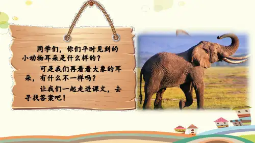 大象的耳朵 完整版PPT课件