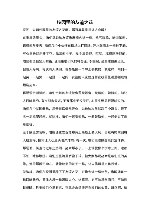 校园里的友谊之花