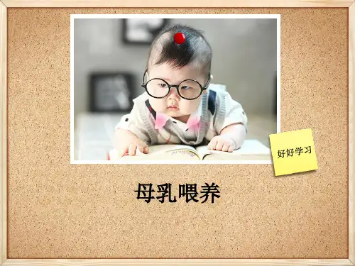 母乳喂养知识点课题(医学PPT课件)