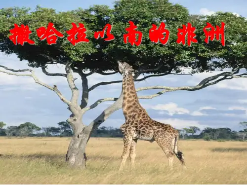 高考地理一轮复习——撒哈拉以南的非洲(共77张PPT)