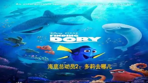 海底总动员2：多莉去哪儿ppt