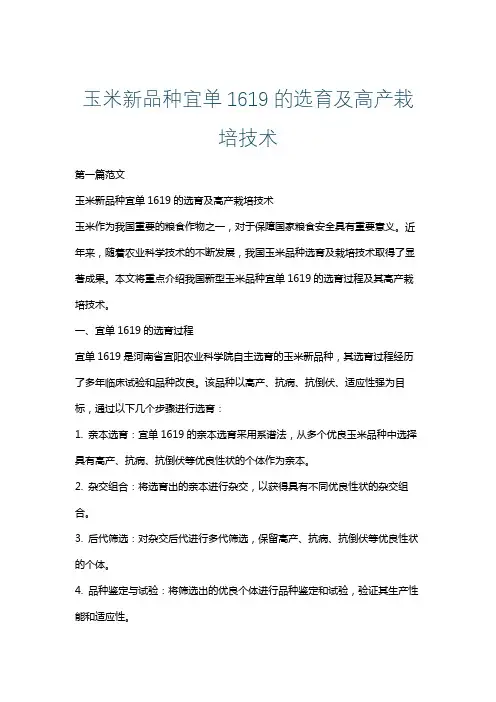 玉米新品种宜单1619的选育及高产栽培技术