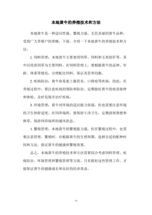 本地黄牛的养殖技术和方法