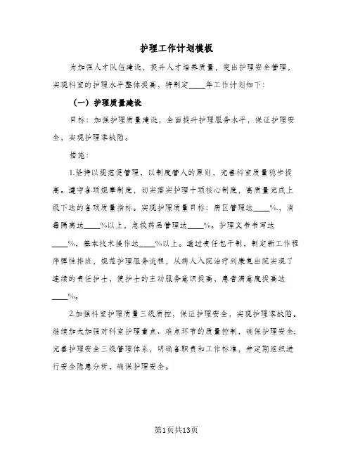 2024年护理工作计划模板（4篇）