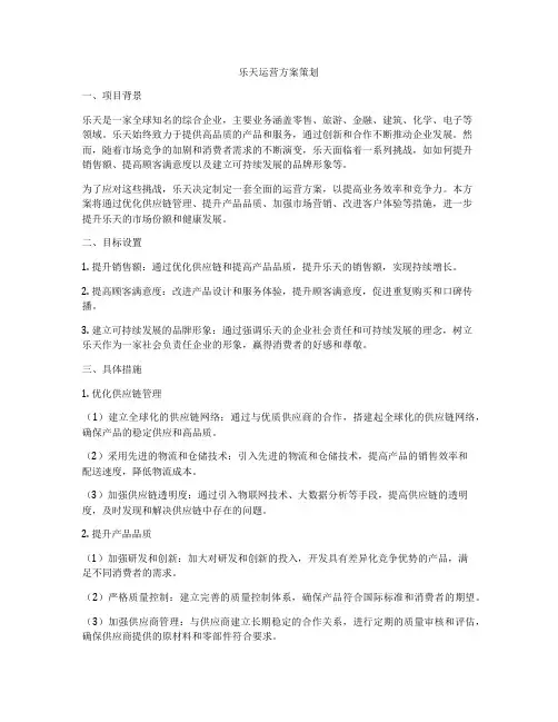 乐天运营方案策划