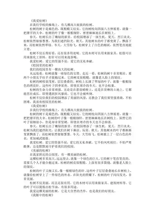 三年级写松树作文300字左右