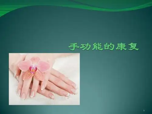 手功能的康复ppt课件