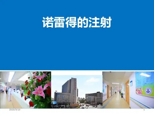 诺雷得的注射PPT课件