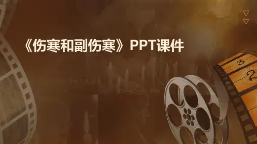 《伤寒和副伤寒》课件