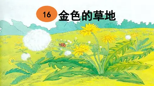 统编版三年级语文上册16  金色的草地  课件(共31张PPT)