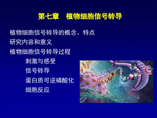 植物生理学—信号转导1
