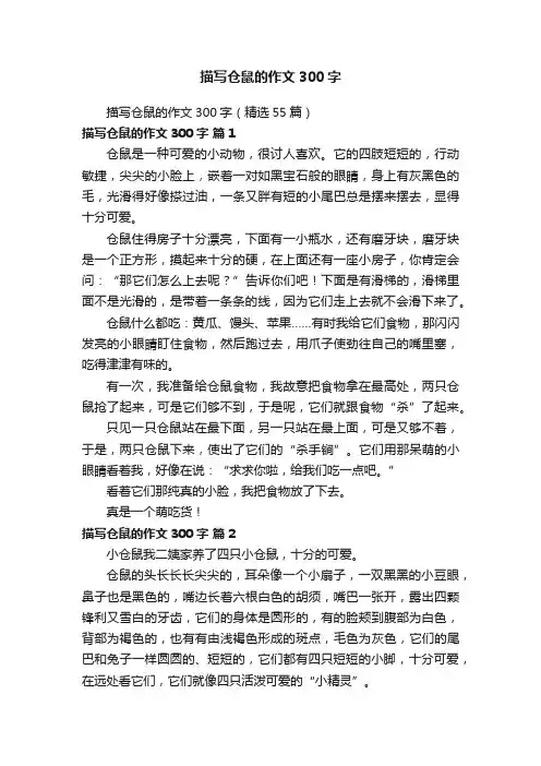 描写仓鼠的作文300字（精选55篇）