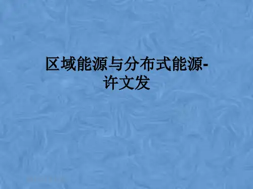 区域能源与分布式能源-许文发
