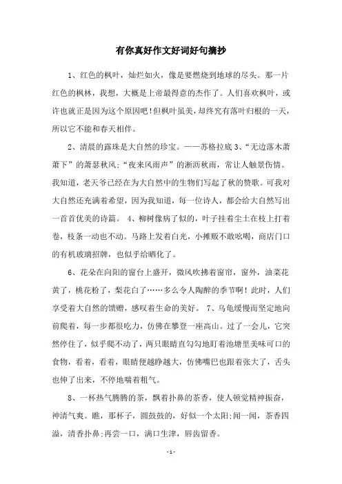 有你真好作文好词好句摘抄