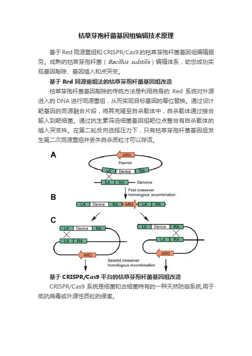 枯草芽孢杆菌基因组编辑技术原理