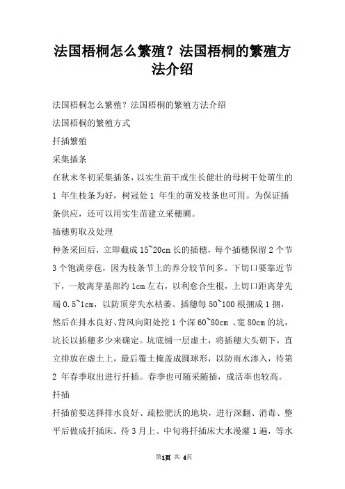 法国梧桐怎么繁殖？法国梧桐的繁殖方法介绍