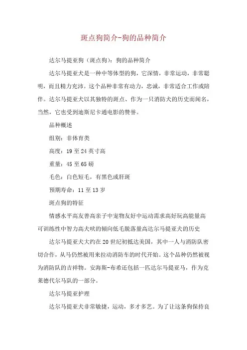 斑点狗简介-狗的品种简介