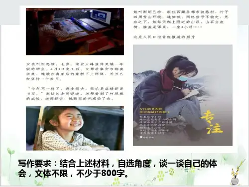 议论文作文单篇例解ppt课件