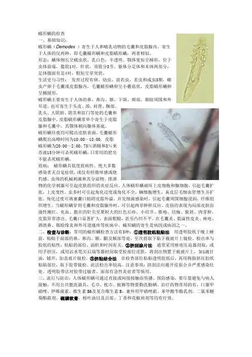 临床技能比赛蠕形螨、疥螨及阴虱的检查