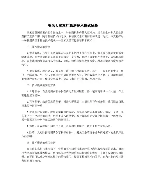 玉米大垄双行栽培技术模式试验