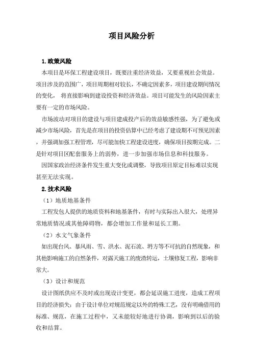 项目风险分析