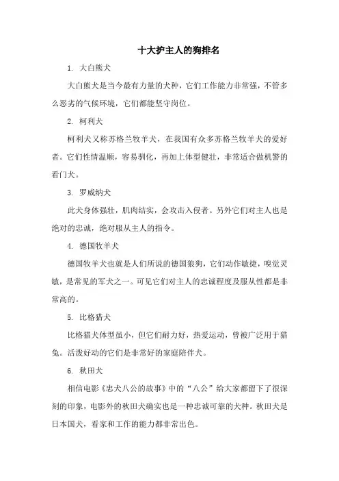 十大护主人的狗排名