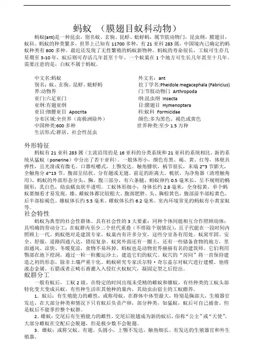 蚂蚁简介(摘自百科)