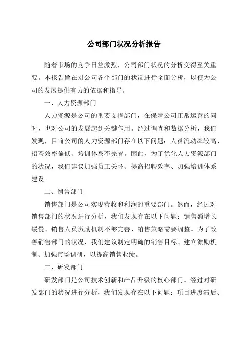 公司部门状况分析报告