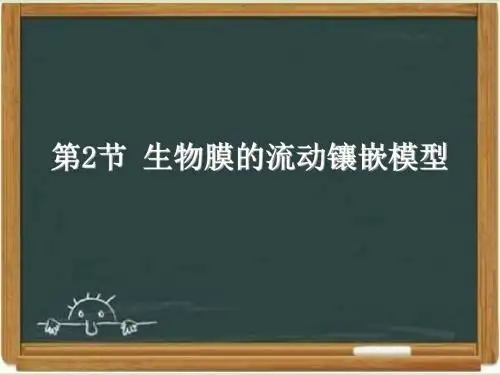 人教版高中生物必修一《生物膜的流动镶嵌模型》课件