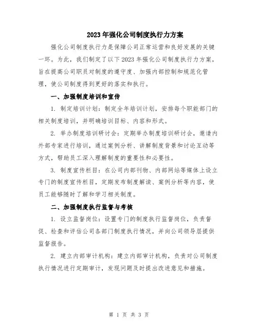 2023年强化公司制度执行力方案