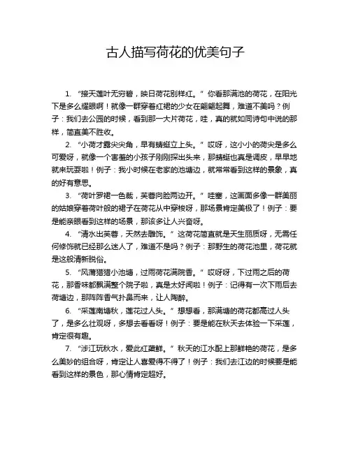 古人描写荷花的优美句子
