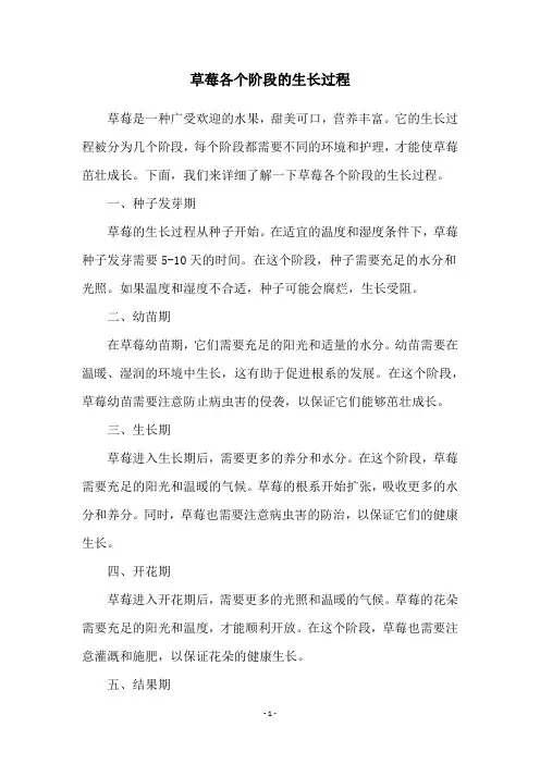草莓各个阶段的生长过程