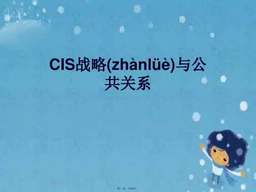 CIS战略与公共关系