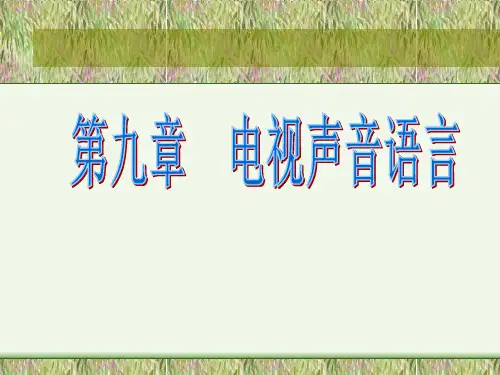 电视声音语言