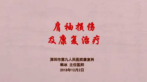 2018.12肩袖损伤的康复治疗(12.2)