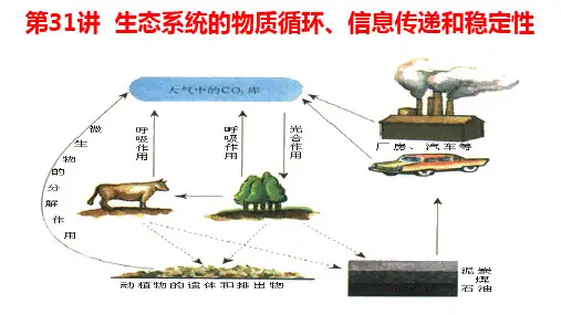 高三一轮复习生物课件：第31讲生态系统的物质循环、信息传递和稳定性1