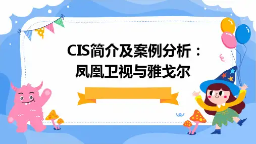 CIS简介及案例分析凤凰卫视雅戈尔