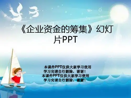 《企业资金的筹集》幻灯片PPT