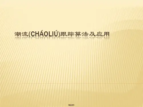 潮流跟踪算法及应用