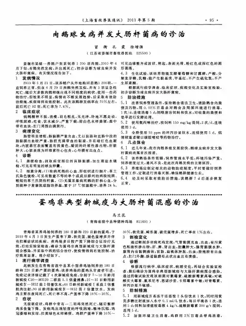 蛋鸡非典型新城疫与大肠杆菌混感的诊治
