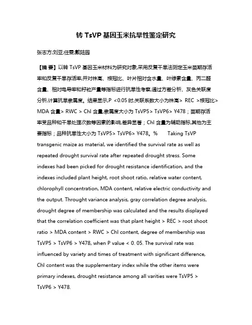 转 TsVP 基因玉米抗旱性鉴定研究